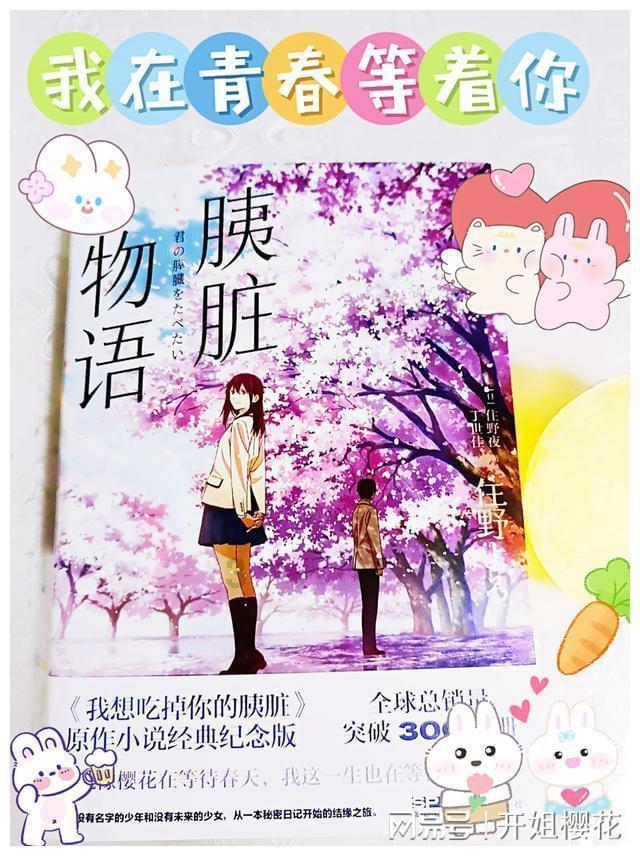 最美山外大人 ▏姜燕：初心不染，一片丹心向阳开